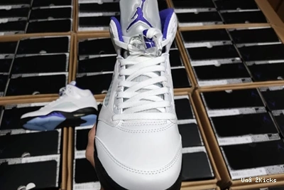 DD0587-141 CONCORD Air 587 Fashionable Jordan5 0905